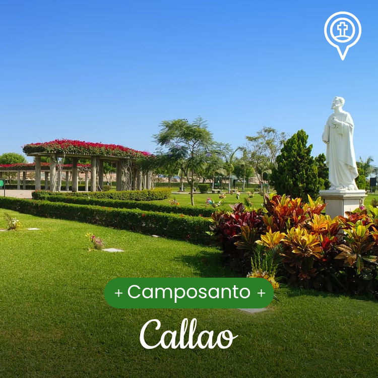 img-campo2