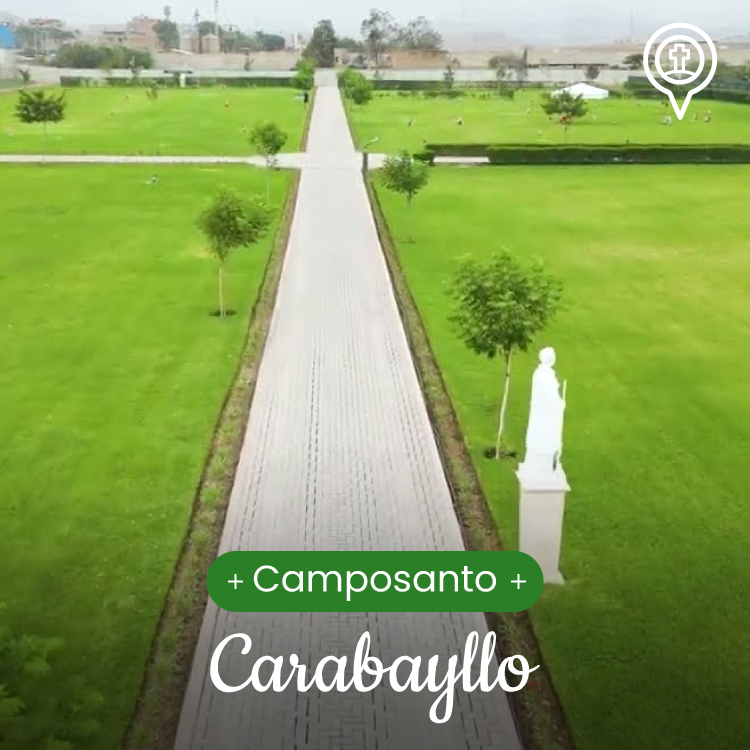 img-campo3